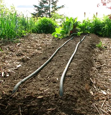 AGRINSAL sistema de riego en proceso de instalación